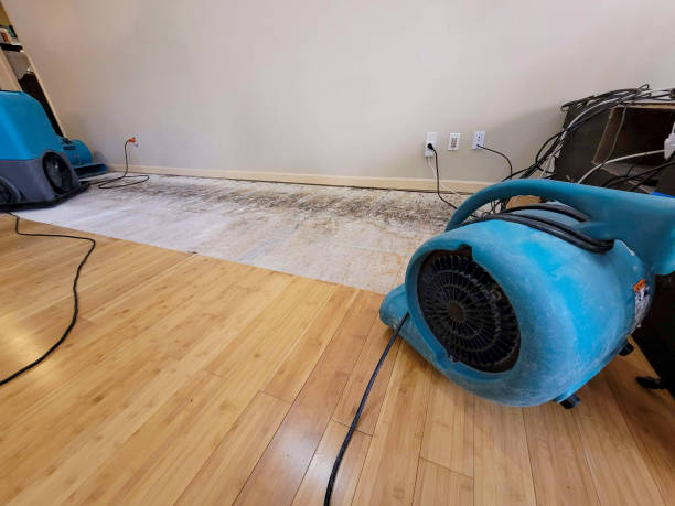 Professional Flood Damage Cleanup technician working in Washington, IL